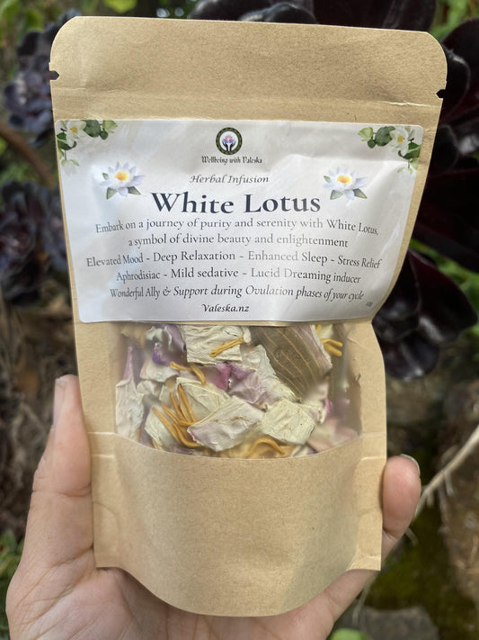 White Lotus Infusion (10g)