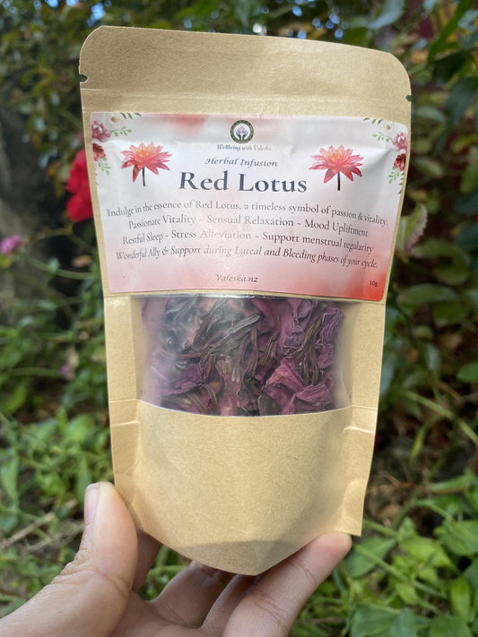Red Lotus Infusion (10g)
