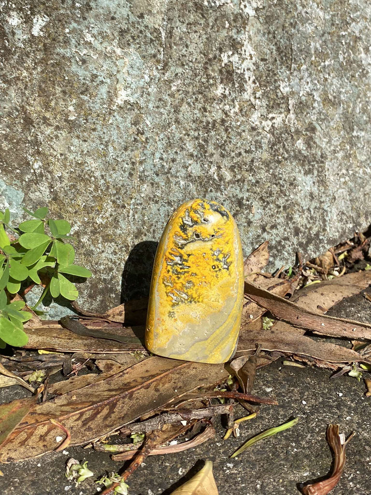 Rare Bumblebee Jasper Standing Freeform