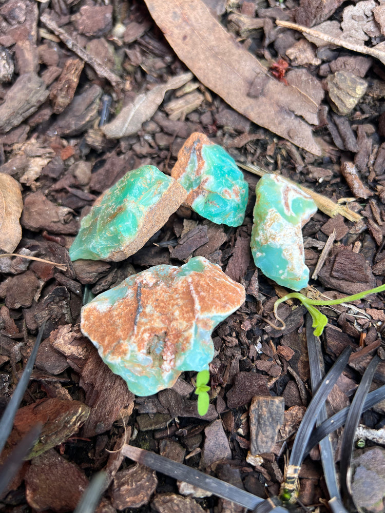 Rough Natural Chrysoprase