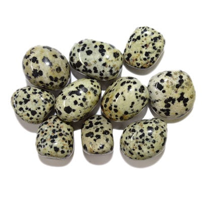 Dalmatian Jasper Tumble