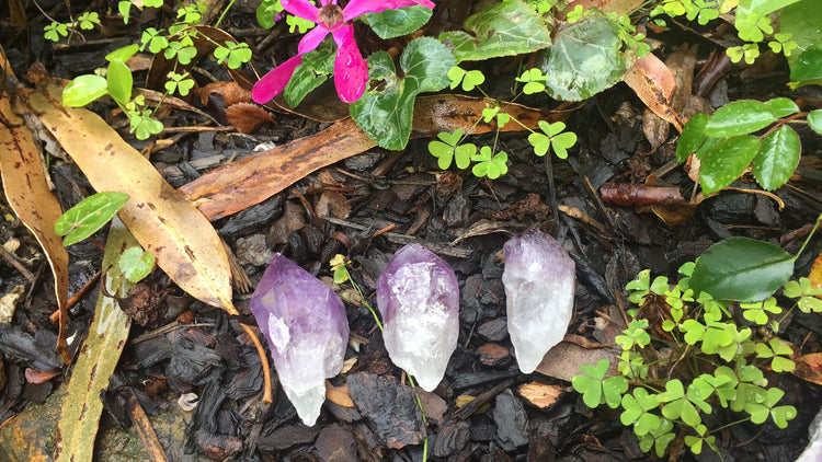 Amethyst Point