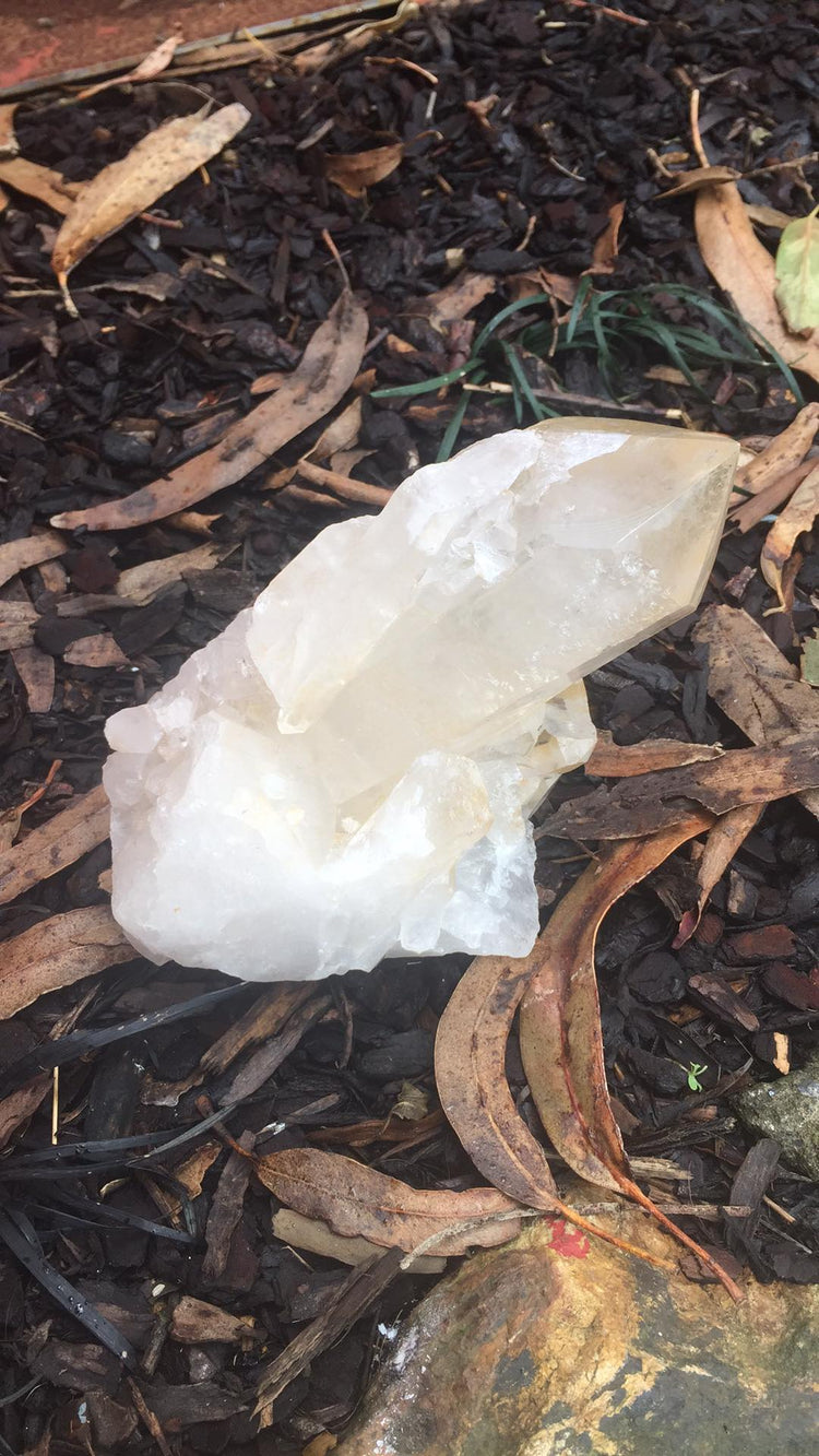 Clear Quartz Cluster Large