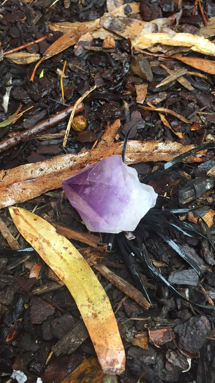Amethyst Point Large