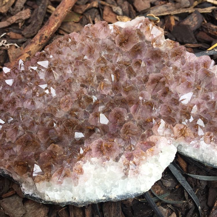 Amethyst Druse Medium