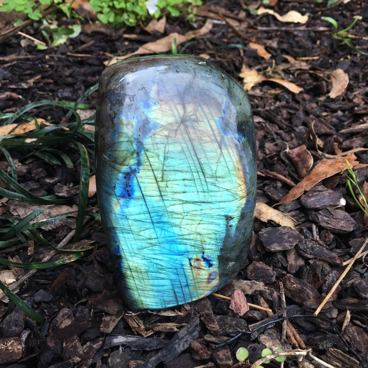 Labradorite Freeform 3