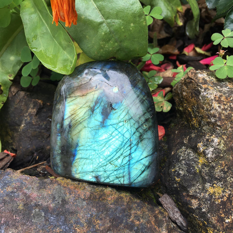 Labradorite Freeform 1