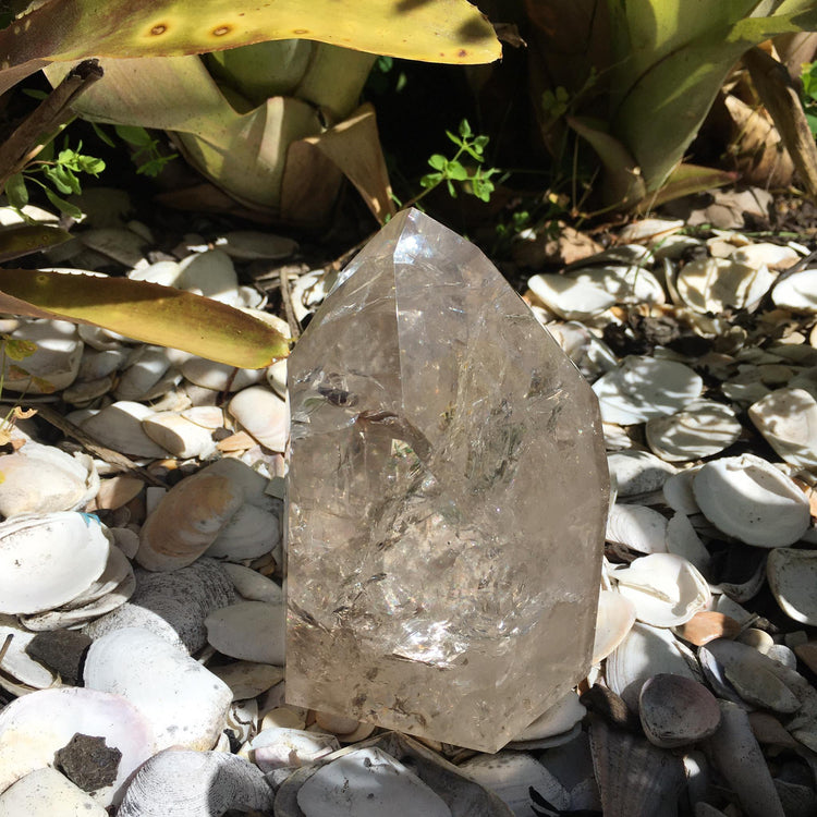 Clear Quartz Polished Point