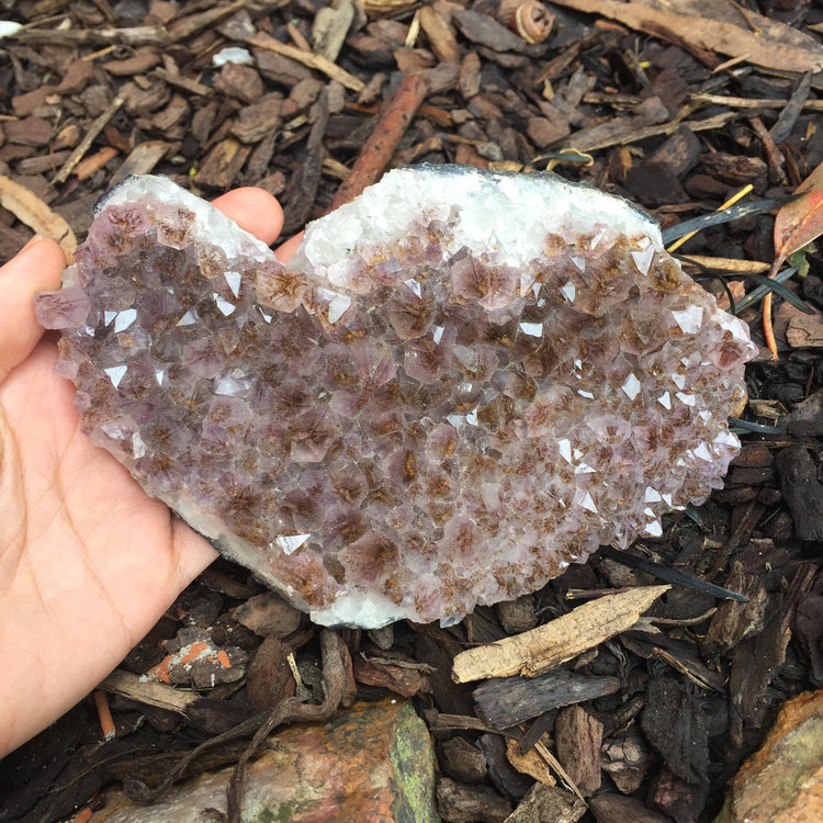 Amethyst Druse Medium
