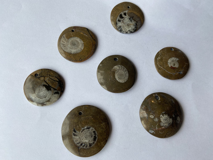 Ammonite Pendant