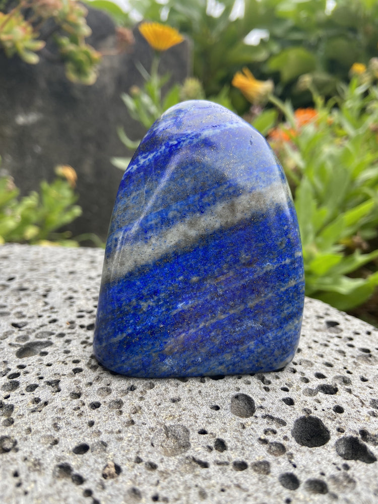 Lapis Lazuli Freeform