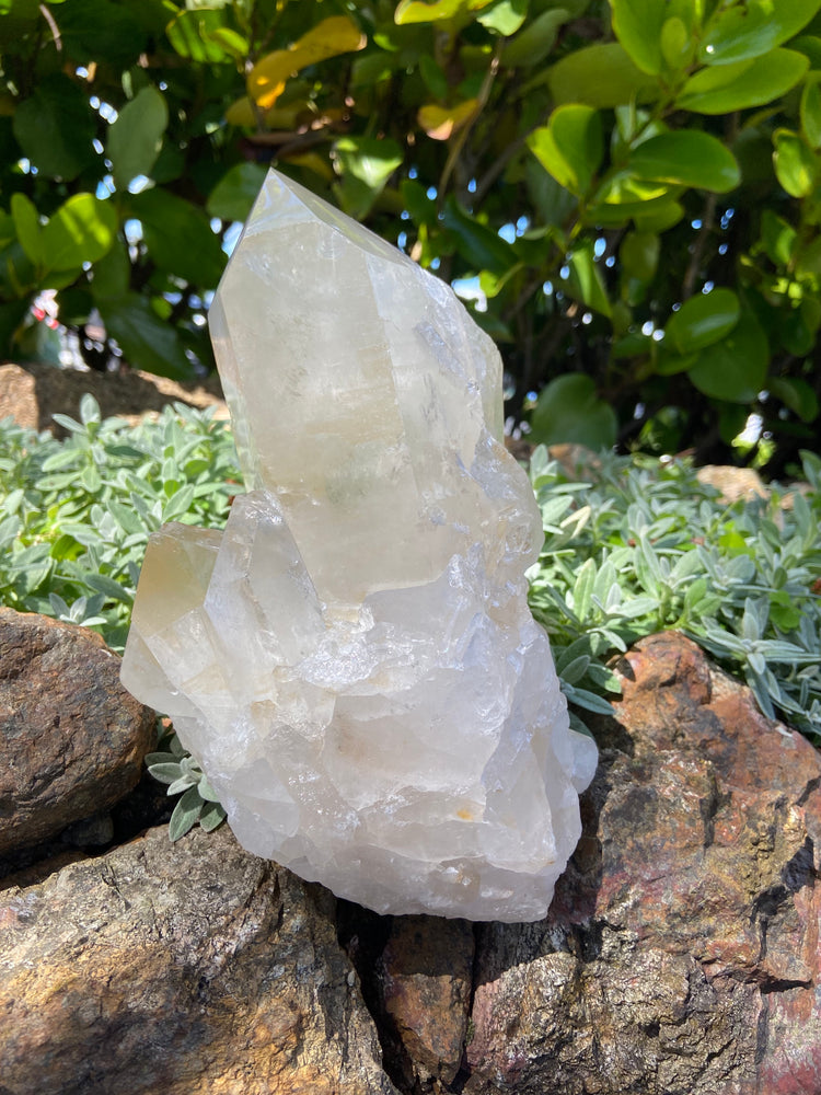 Clear Quartz Cluster Large