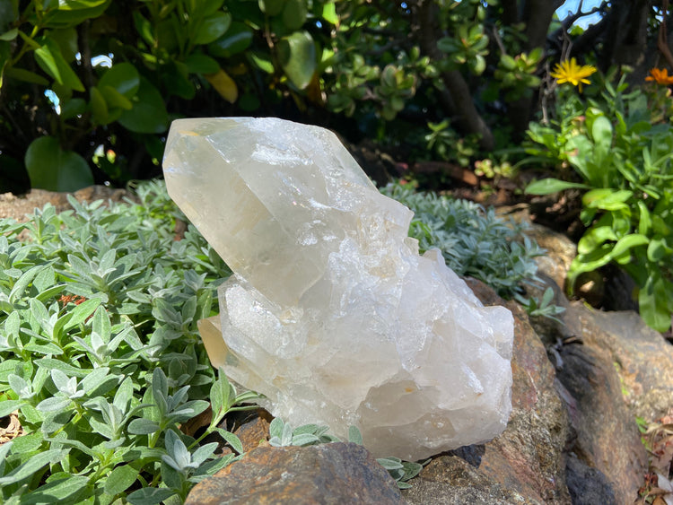 Clear Quartz Cluster Large