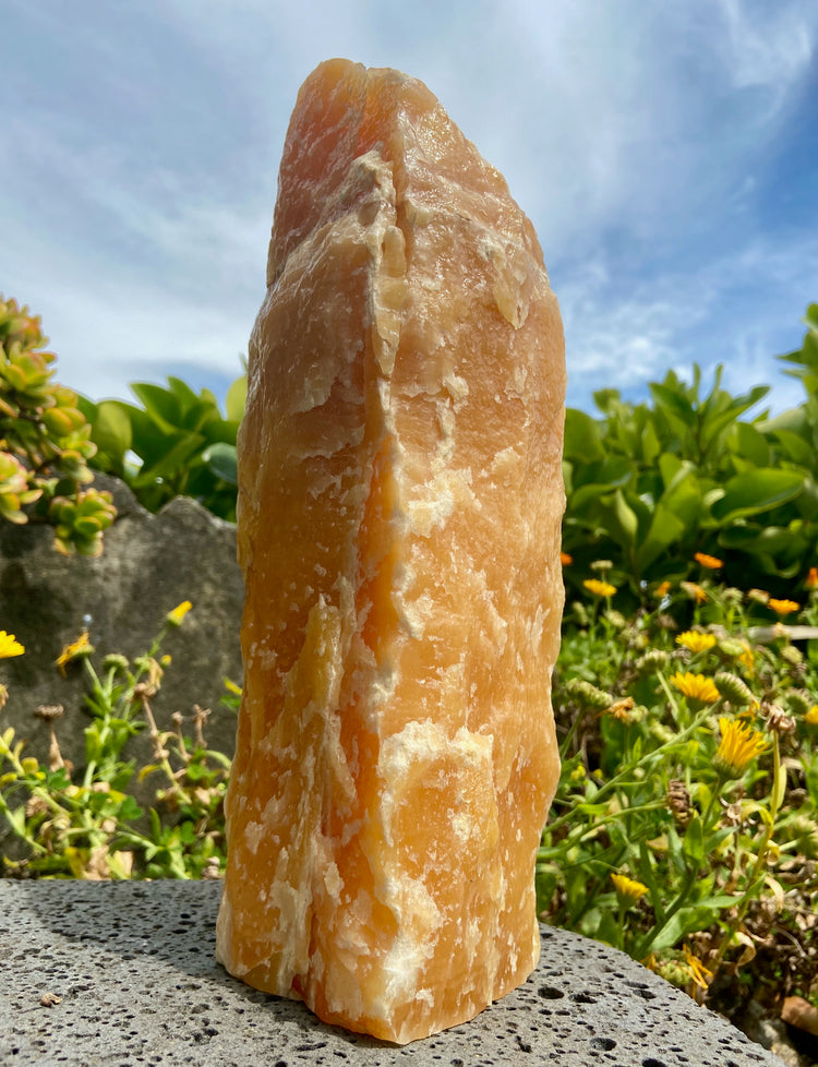 Orange Calcite Cut Base Freeform