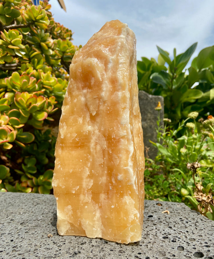 Orange Calcite Cut Base Freeform 1