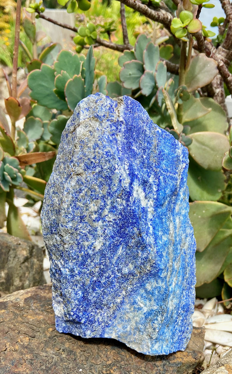 Lapis Lazuli Freeform Rough