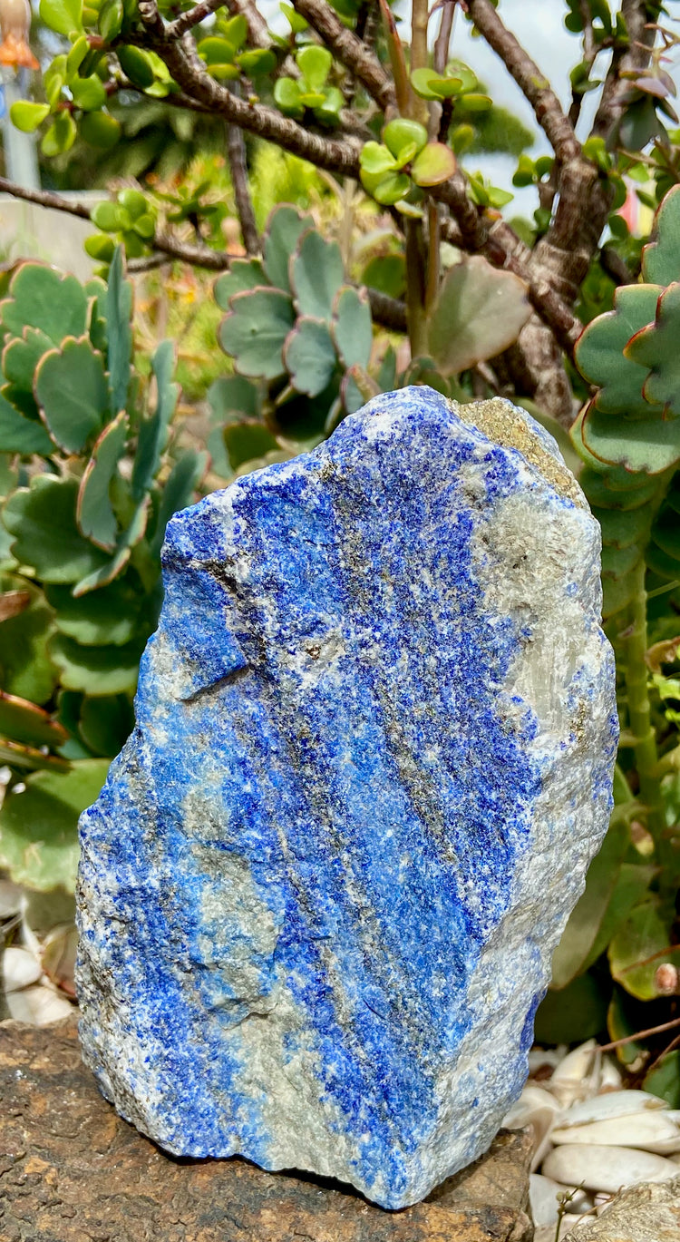 Lapis Lazuli Freeform Rough