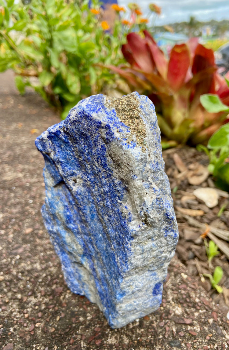Lapis Lazuli Freeform Rough