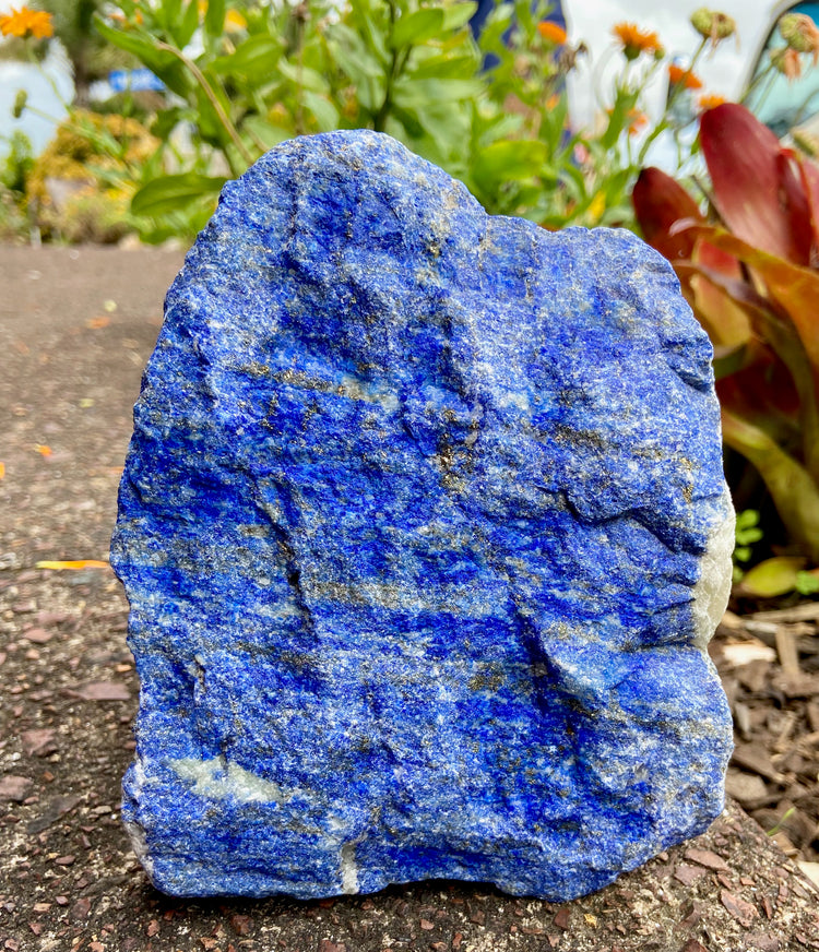 Lapis Lazuli Freeform Rough 1