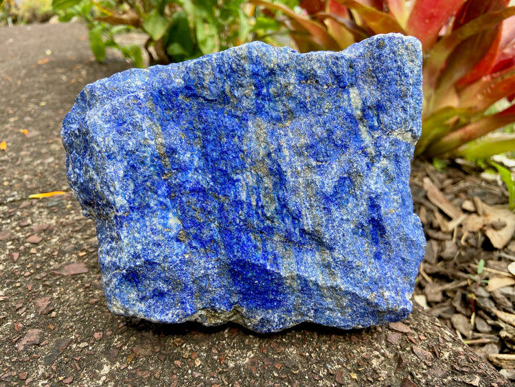 Lapis Lazuli Freeform Rough 1