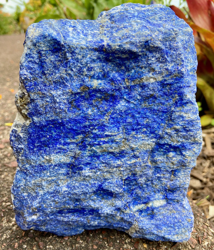 Lapis Lazuli Freeform Rough 1