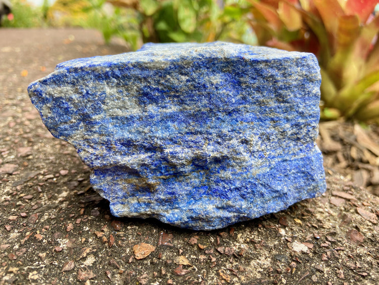 Lapis Lazuli Freeform Rough 2