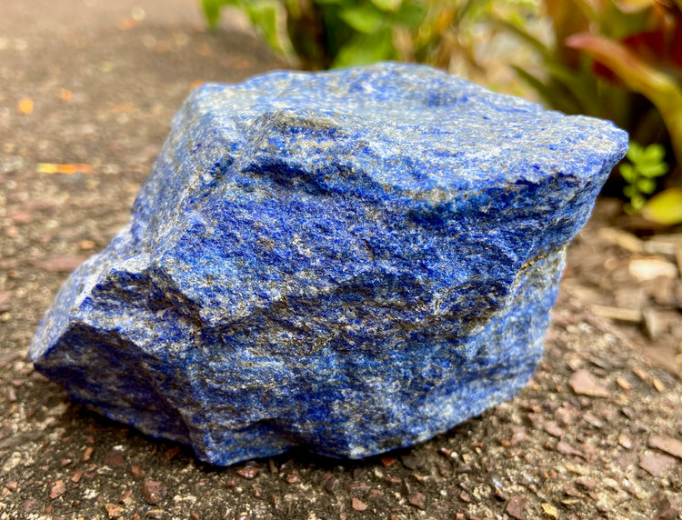 Lapis Lazuli Freeform Rough 2