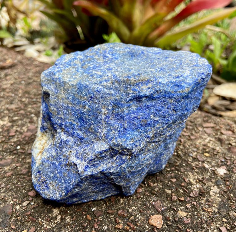 Lapis Lazuli Freeform Rough 2