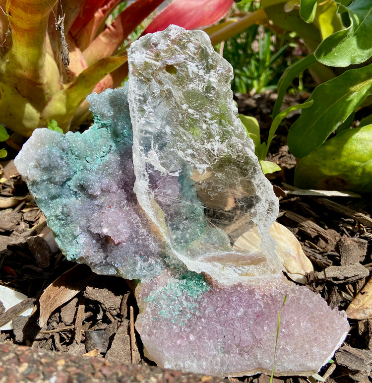 Selenite in Amethyst Geode