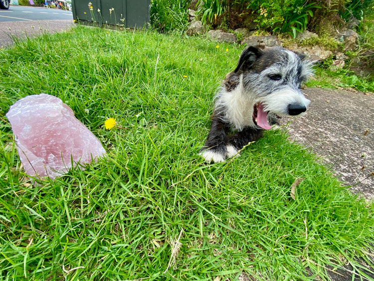 Rose Quartz Rough Large 2