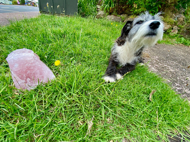 Rose Quartz Rough Large 2