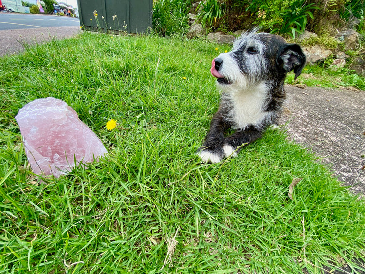Rose Quartz Rough Large 2