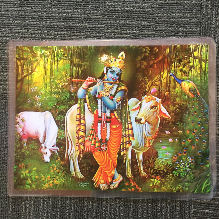 Large Laminated Goddess & Gods Altar Pictures