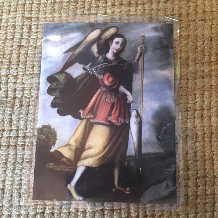 Large Laminated Goddess & Gods Altar Pictures