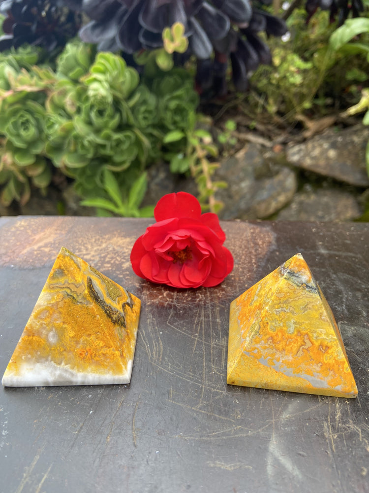 Bumblebee Jasper Pyramid