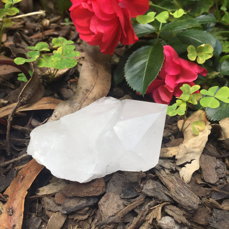 Clear Quartz Cluster Medium
