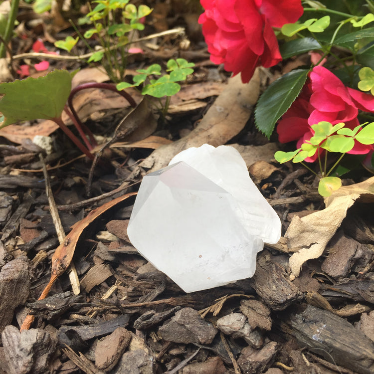 Clear Quartz Cluster Medium