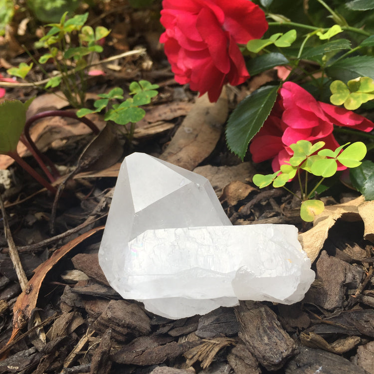 Clear Quartz Cluster Medium