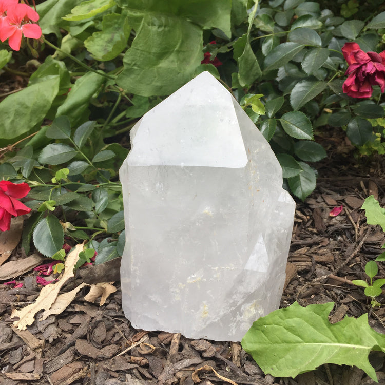 Large Clear Quartz Cut Base Point