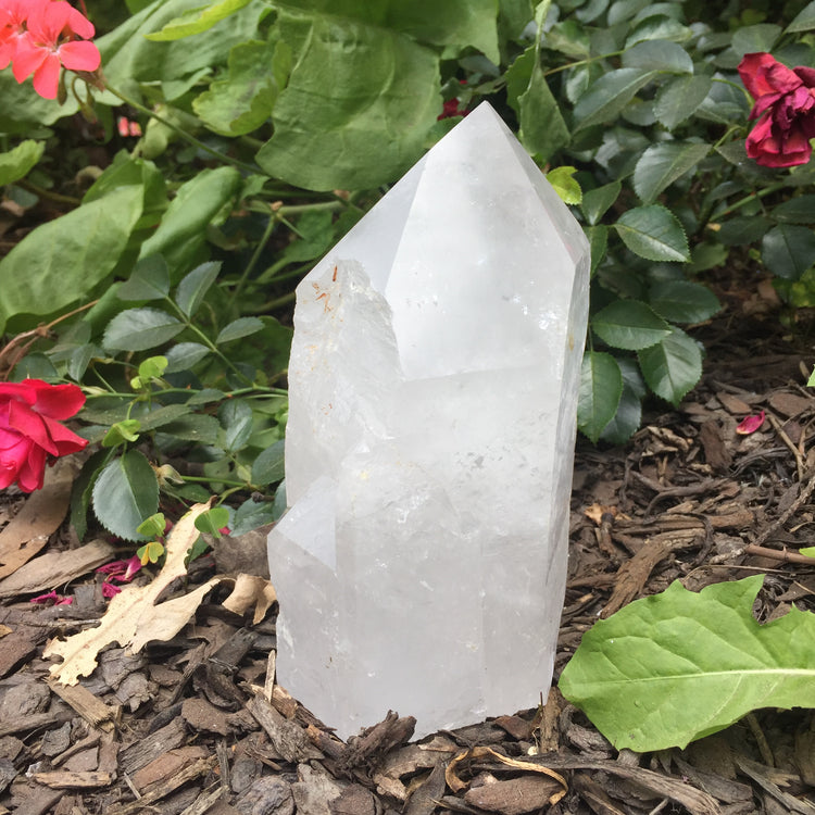Large Clear Quartz Cut Base Point