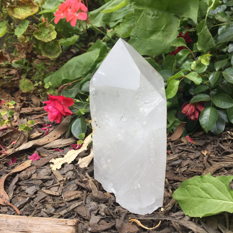 Large Clear Quartz Cut Base Point