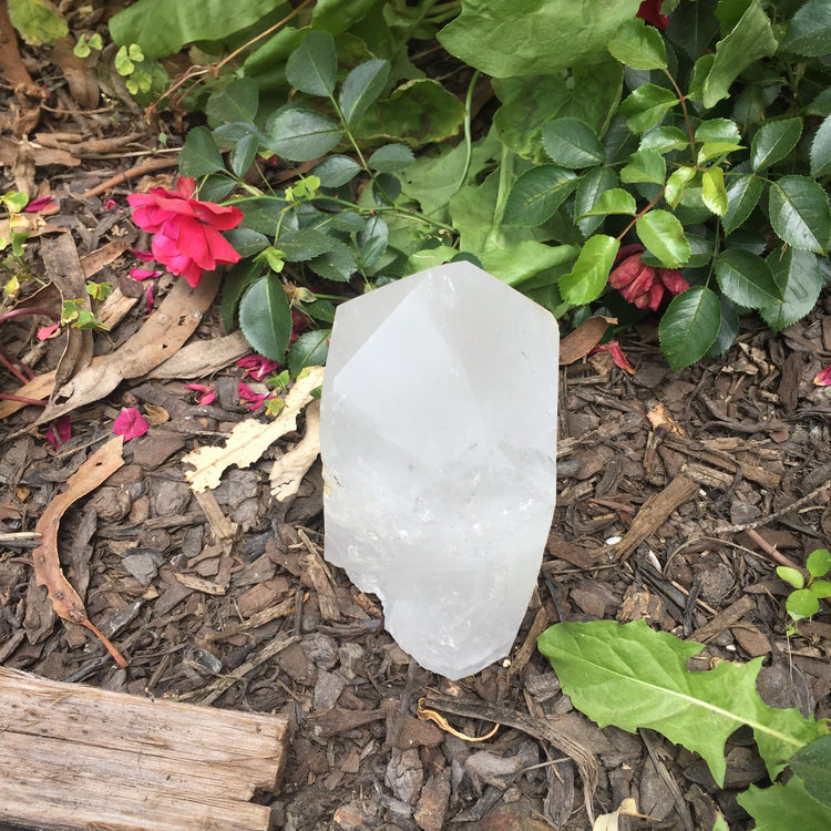 Large Clear Quartz Cut Base Point