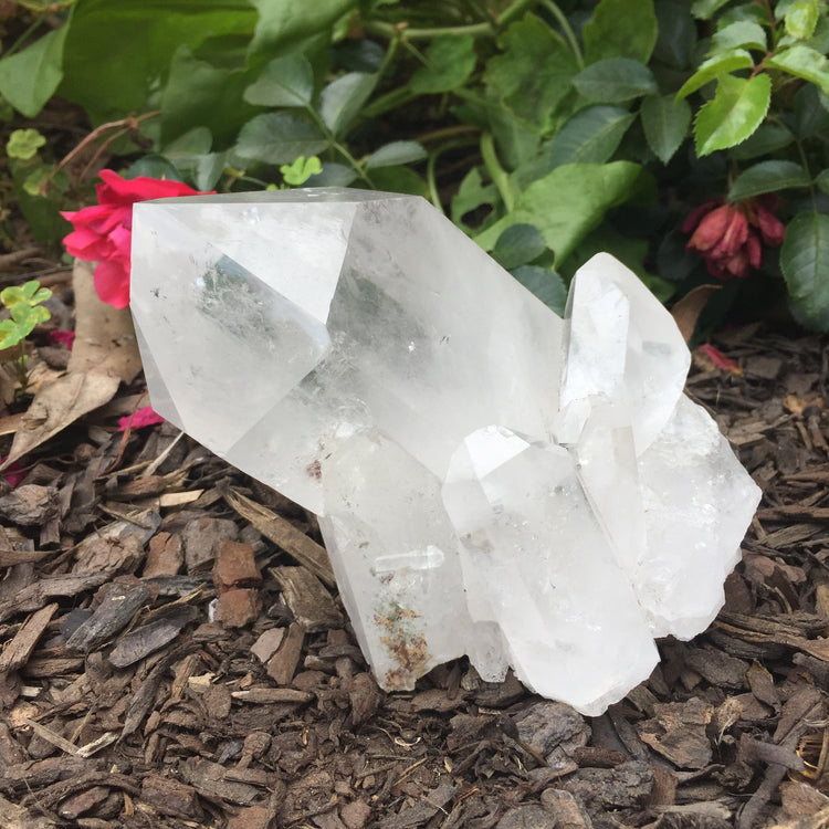 Clear Quartz Cluster Large 2