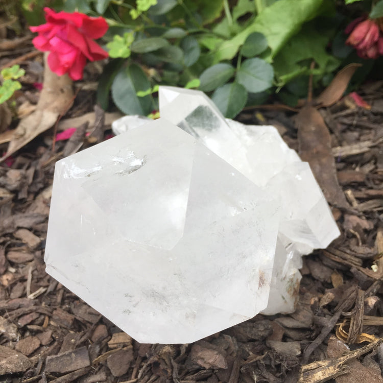 Clear Quartz Cluster Large 2