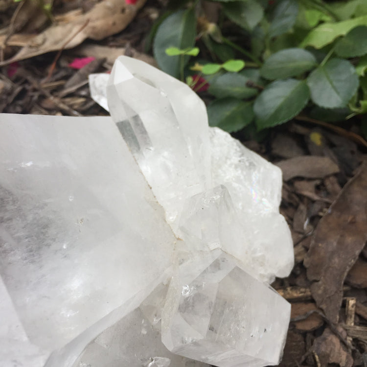 Clear Quartz Cluster Large 2