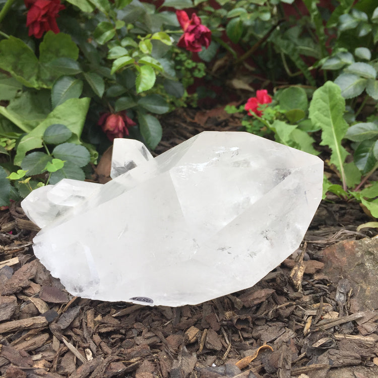 Clear Quartz Cluster Large 2