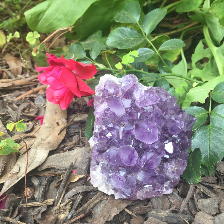 Amethyst Standing Cut Base 4