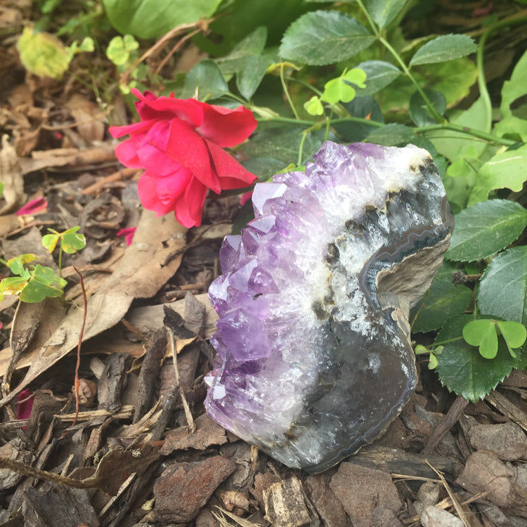 Amethyst Standing Cut Base 4