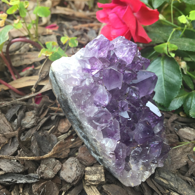 Amethyst Standing Cut Base 4
