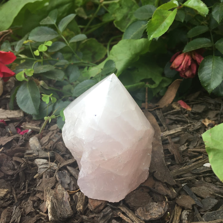 Rose Quartz Polished Point Large